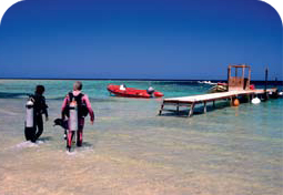 Divers in Marsa Alam