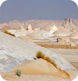 The White Desert