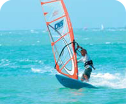 Windsurfer